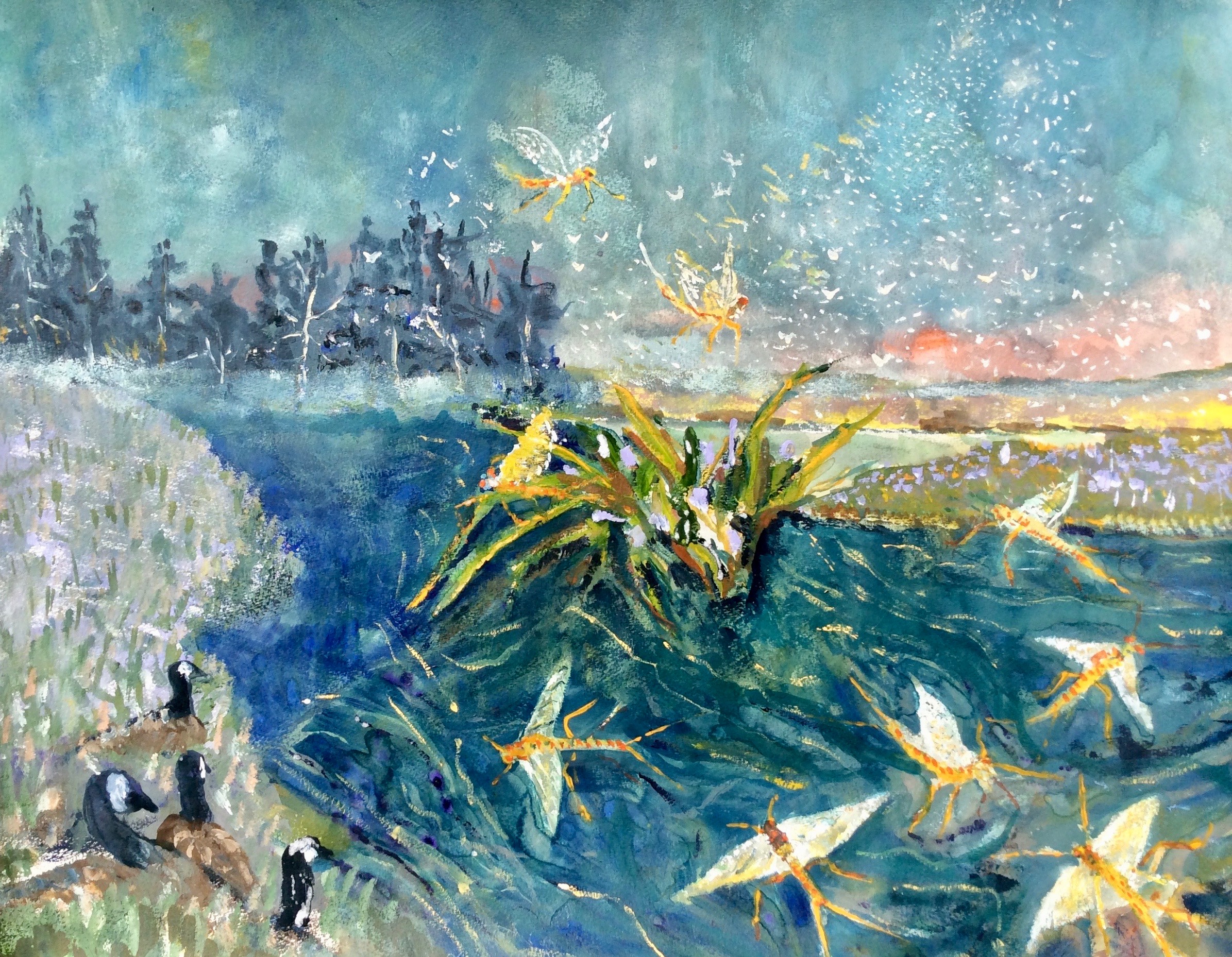 Faeries