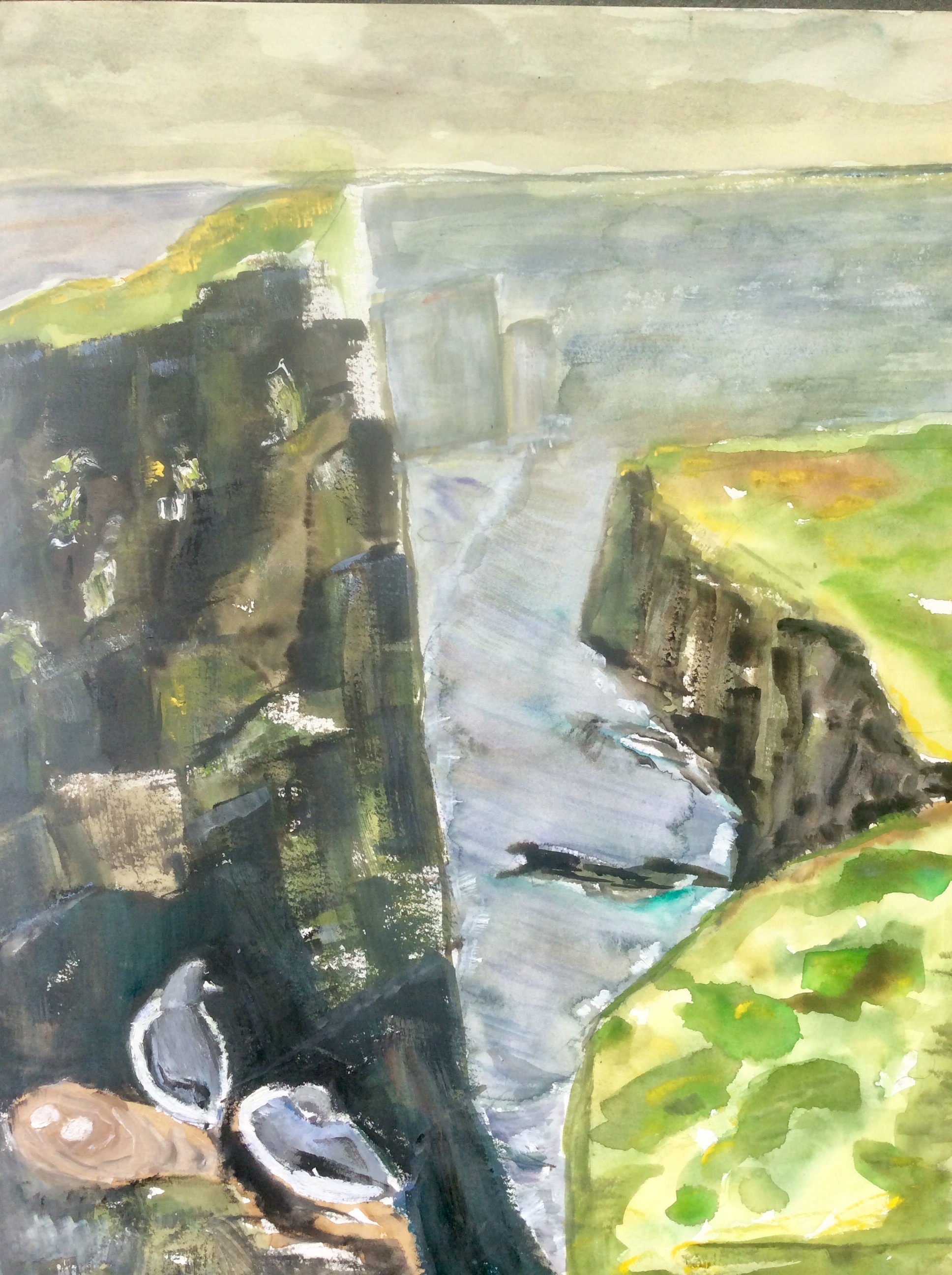 Bird cliffs