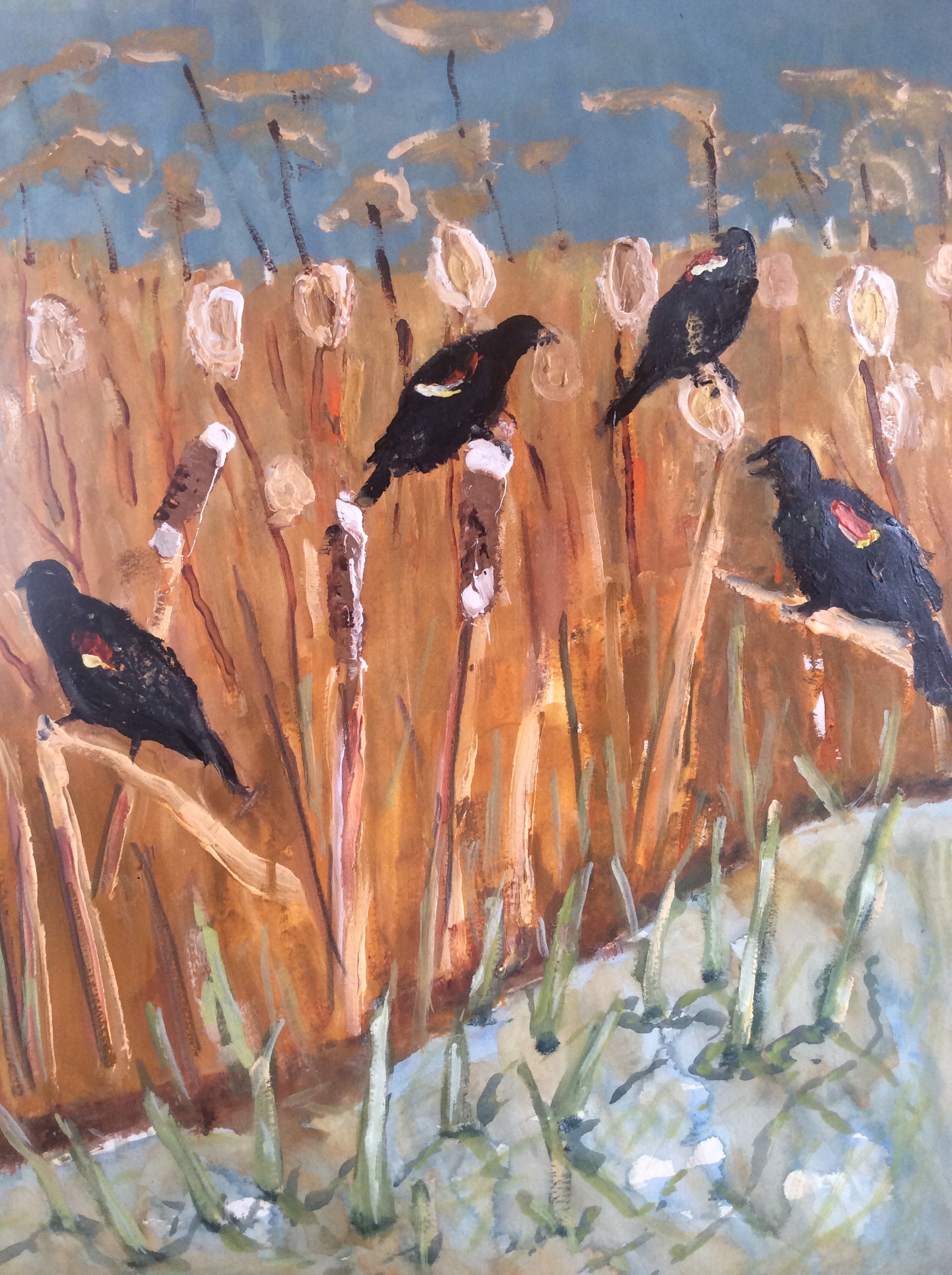 Marsh birds